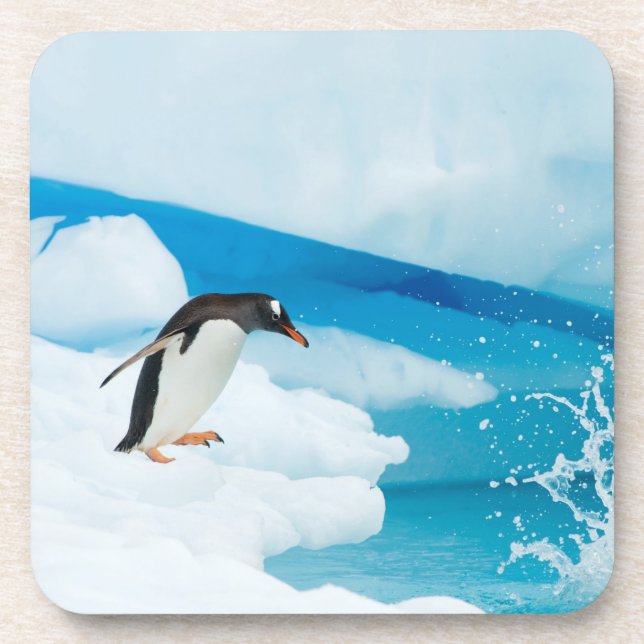 Posavasos pingüino de gentoo, Pygoscelis Papua, saltando (Frente)
