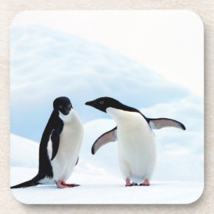 Posavasos Pingüinos Adelie