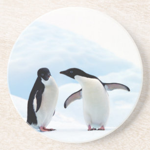 Posavasos Pingüinos Adelie
