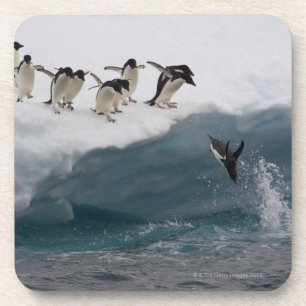 Posavasos Pingüinos de Adelie que se zambullen en el mar