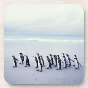 Posavasos Pingüinos de rey (patagonicus del Aptenodytes)