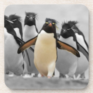 Posavasos Pingüinos de Rockhopper