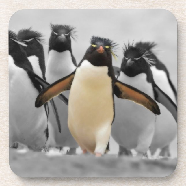 Posavasos Pingüinos de Rockhopper (Frente)