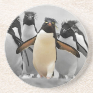 Posavasos Pingüinos de Rockhopper