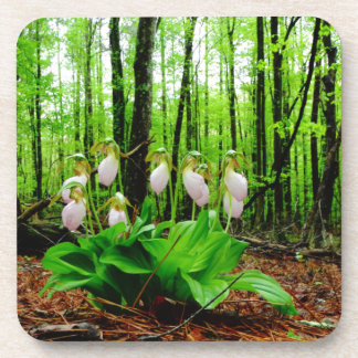Posavasos Pink Lady Slipper Wild Orchid