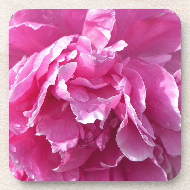 Posavasos Pink Peony (Frente)