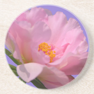 Posavasos Pink Peony Sandstone Coaster