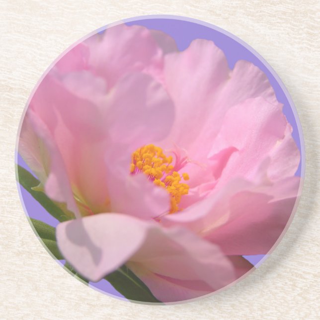 Posavasos Pink Peony Sandstone Coaster (Frente)