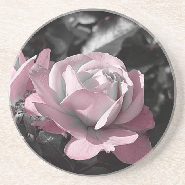 Posavasos Pink Rose Garden (Frente)