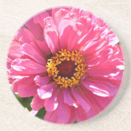Posavasos Pink Zinnia