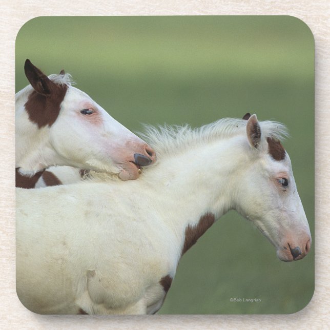 Posavasos Pinte jugar de los potros (Frente)