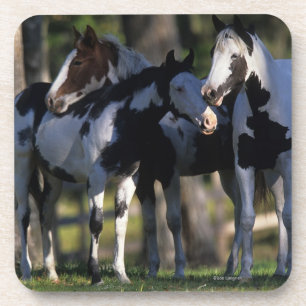 Posavasos Pinte los caballos