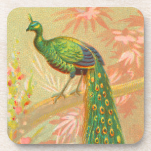 Posavasos Pintura de pavo real y flores
