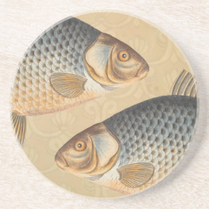 Posavasos pintura de pesca de carpa dibujo de agua dulce