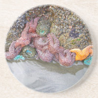 Piscina de marea, playa de Ruby, Parque Nacional O