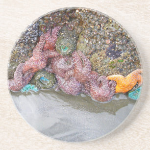 Posavasos Piscina de marea, playa de Ruby, Parque Nacional O