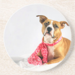 Posavasos Pit Bull cachorro amor en XOXO rosado