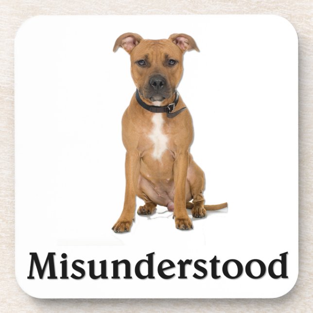 Posavasos Pitbull (Frente)