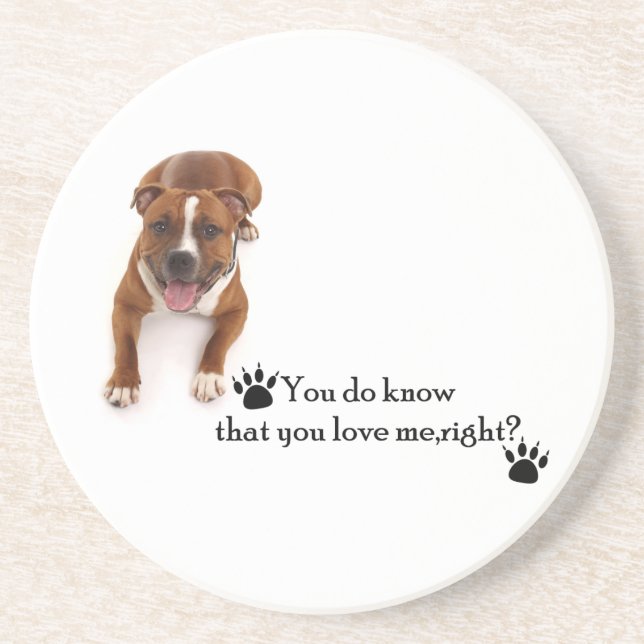 Posavasos Pitbull Coaster (Frente)