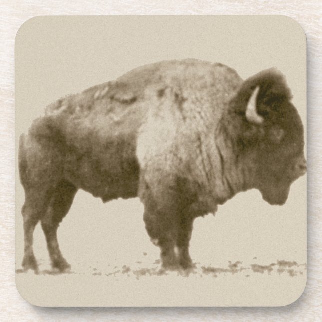 Posavasos Plains Bison (Frente)