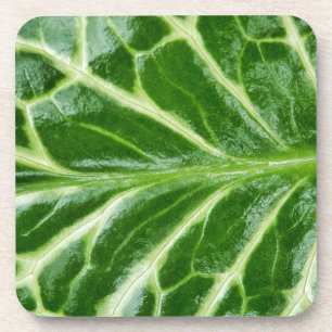 Posavasos Planta Cuckoo Pint