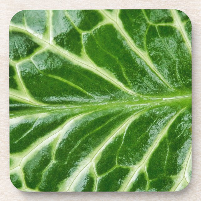 Posavasos Planta Cuckoo Pint (Frente)