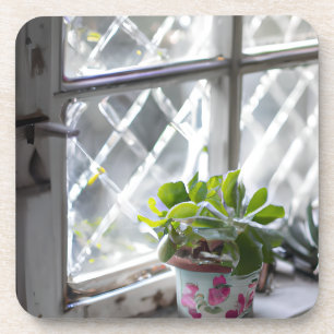 Posavasos Planta de Bonito de acuarela en la ventana
