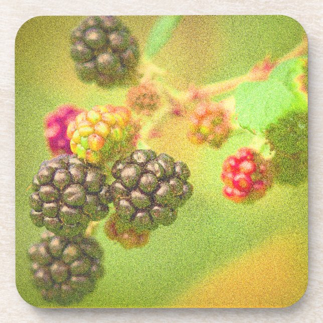 Posavasos "Planta de frutas de Blackberries" Foto Cute. ¡Haz (Frente)