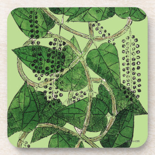 Posavasos Planta de la pimienta negra, 1578