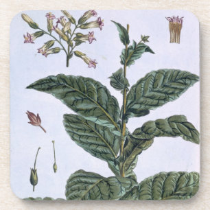 Posavasos Planta de tabaco, placa 7, de la 'colección