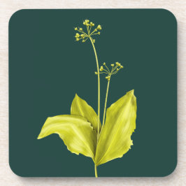 Posavasos Planta verde Ajo salvaje Botánico