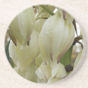 Posavasos Planta Yucca