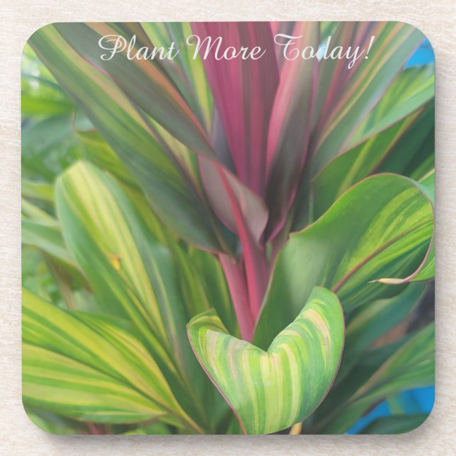 Posavasos Plantar más (Frente)