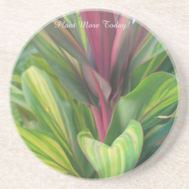 Posavasos Plantar más