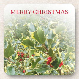 Posavasos Plantas huecas ver las galletas