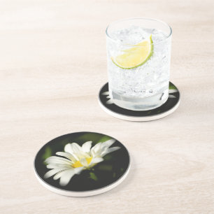 Posavasos Plantilla de escayola de arena