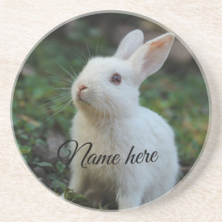 Posavasos Plantilla de foto de nombre de mascota simple de p