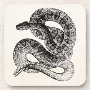 Posavasos Plantilla de la serpiente del reptil de la