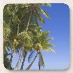 Posavasos Playa bordeada de palmeras Islas Cook 3