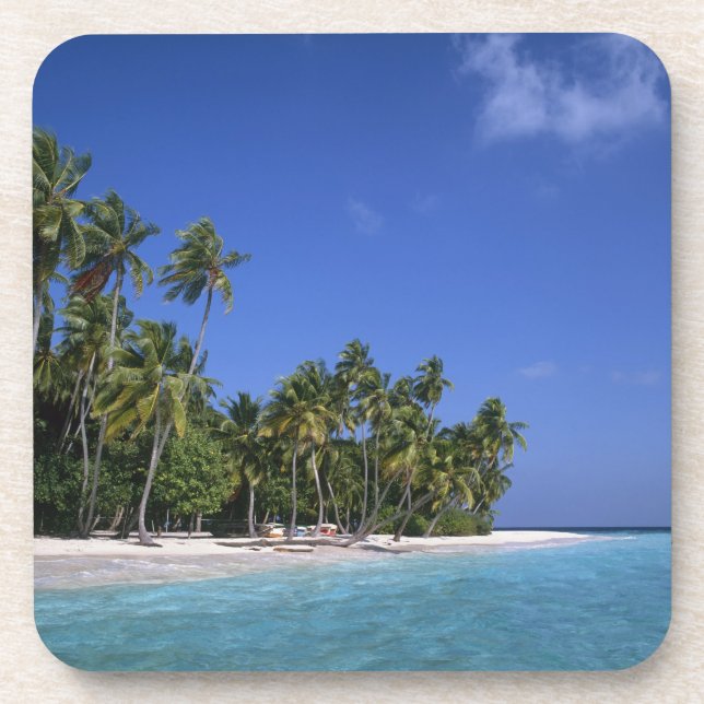 Posavasos Playa con palmeras, Maldivas (Frente)