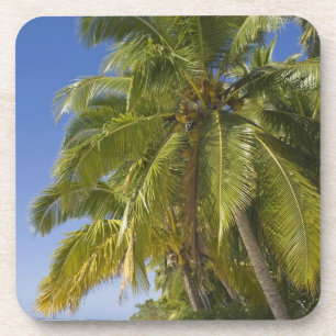 Posavasos Playa en la isla de One Foot, Aitutaki, Islas Cook