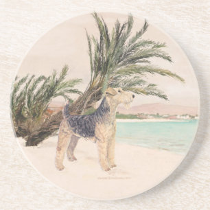 Posavasos Playa Palmy
