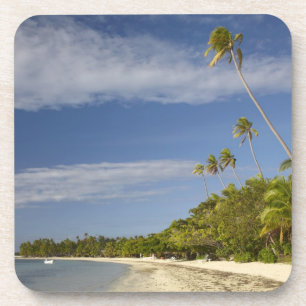 Posavasos Playa y palmeras, Plantation Island Resort