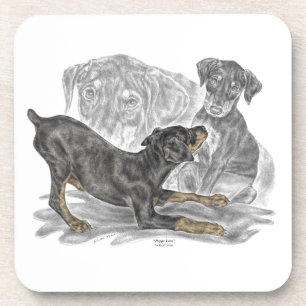 Posavasos Playas Doberman Pinscher