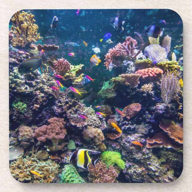 Posavasos Playas tropicales | Arrecife de coral subacuática (Frente)