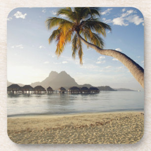 Posavasos Playas tropicales Casas de playa, Bora Bora