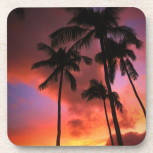 Posavasos Playas tropicales   Islas Maui Hawaii