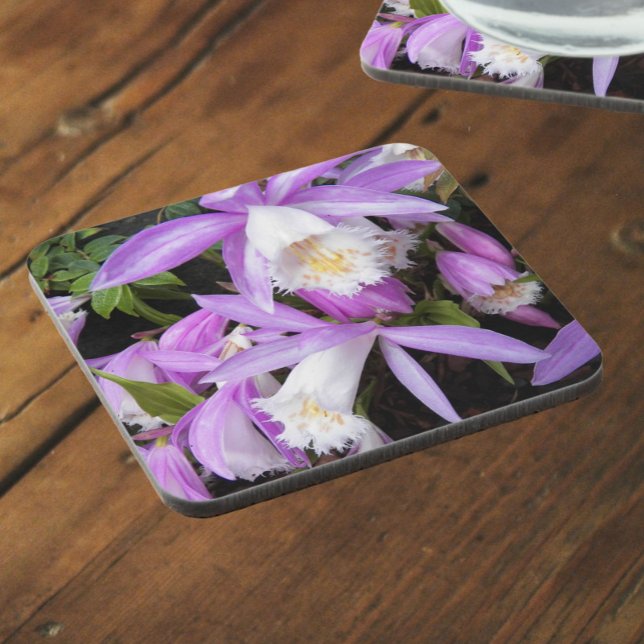Posavasos Pleione Windowsill Orchids Floral (In Situ)