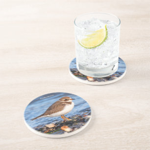 Posavasos Plover Shorebird, un amante de las palmas, en una 
