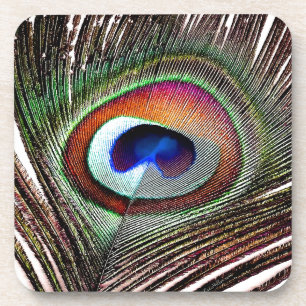 Posavasos Pluma Colorida de Pavo Real de Cobre